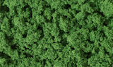 fc183 - Clump Foliage  Medium Green / 3qt