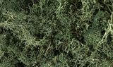 L164 - Lichen / Dark Green