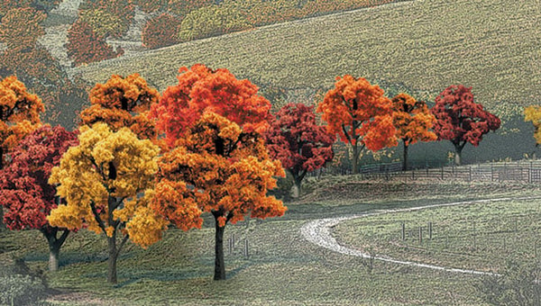 TR1576 - 23 Trees Fall Colors