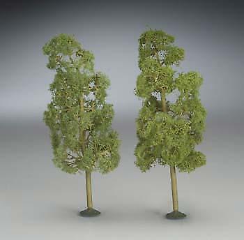 32209 - Sycamore Trees 8" (2)